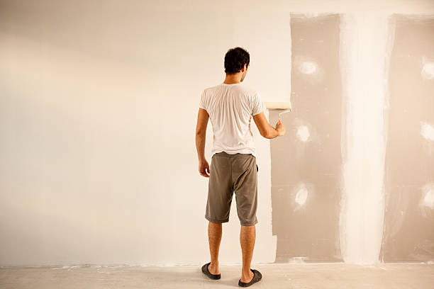 Best Fire-Damaged Drywall Repair  in Elkton, VA